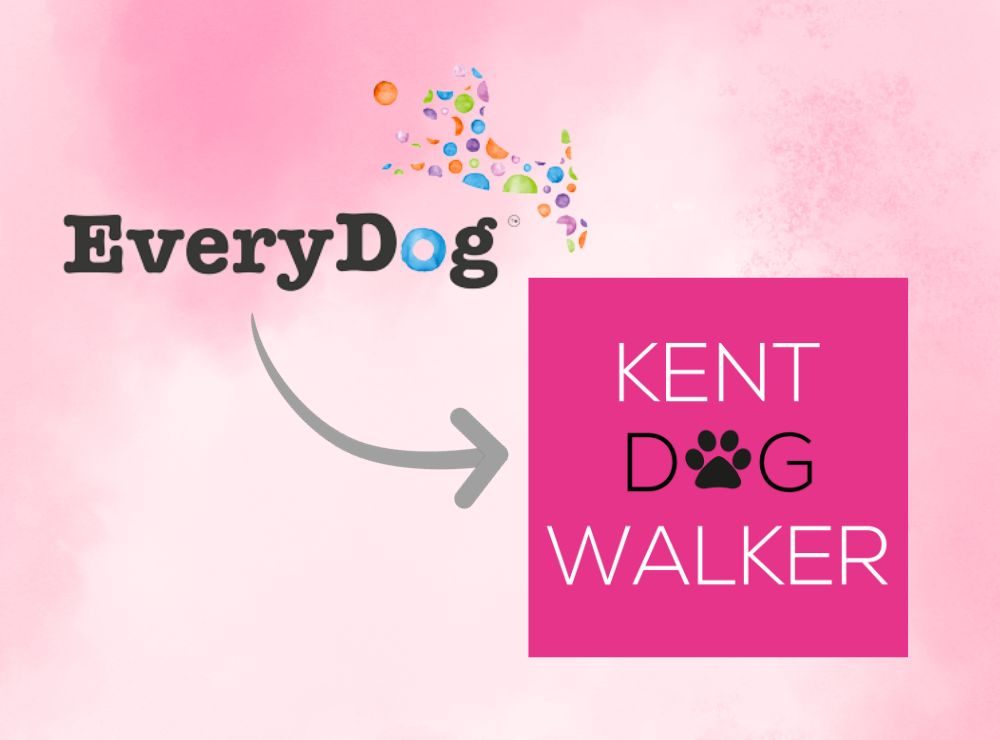 EveryDog Now Kent Dog Walker